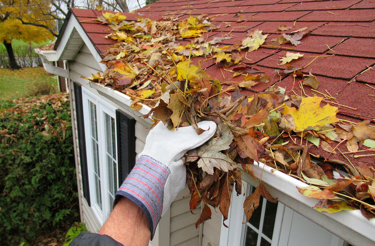 8 Tips For Fall Home Maintenance   IStock 1064396034 